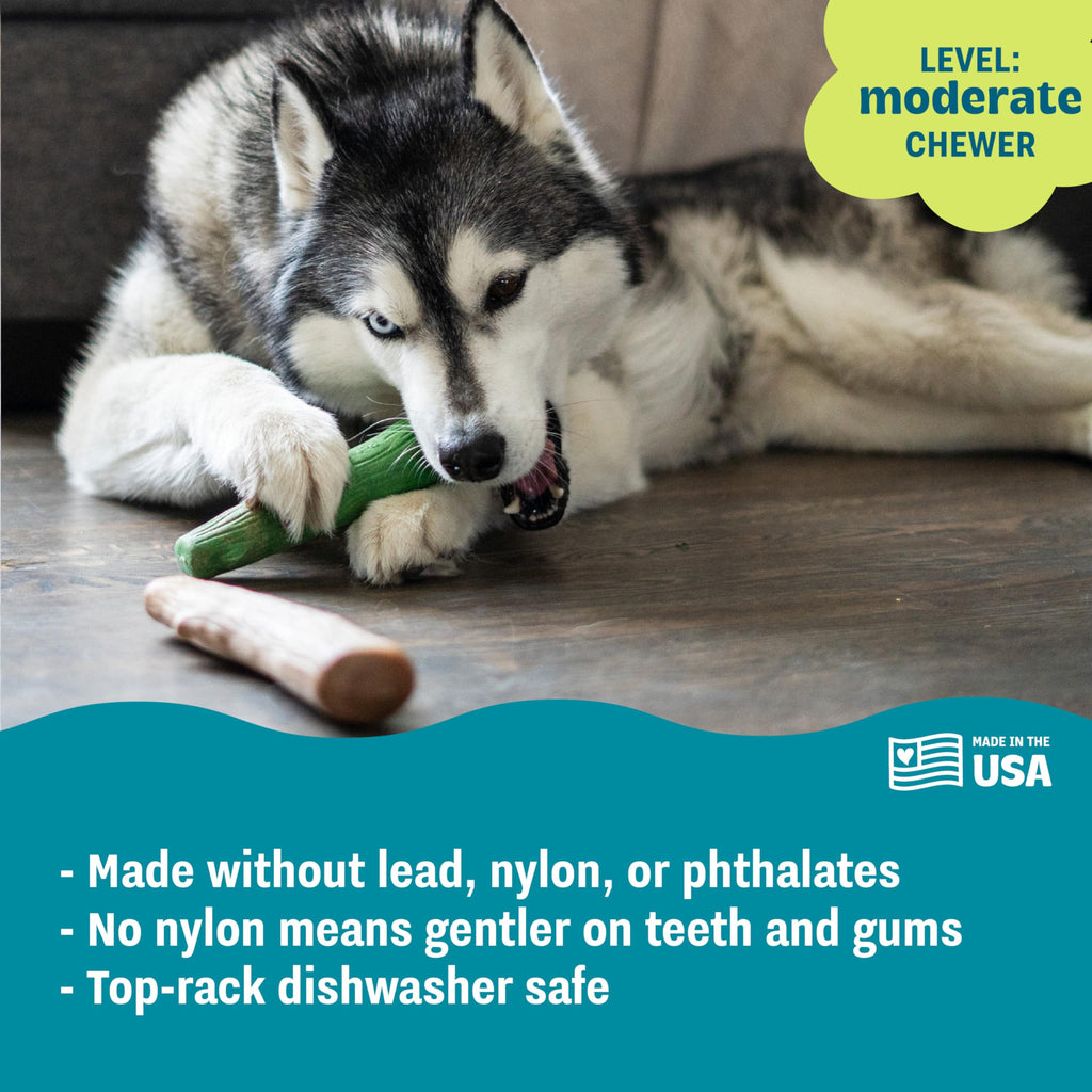 Pupstages Dogwood Breath Dog Chew Toy – 2-Pack of Real-Wood Blend Chews for Moderate Chewers, Large (8 Inch)
