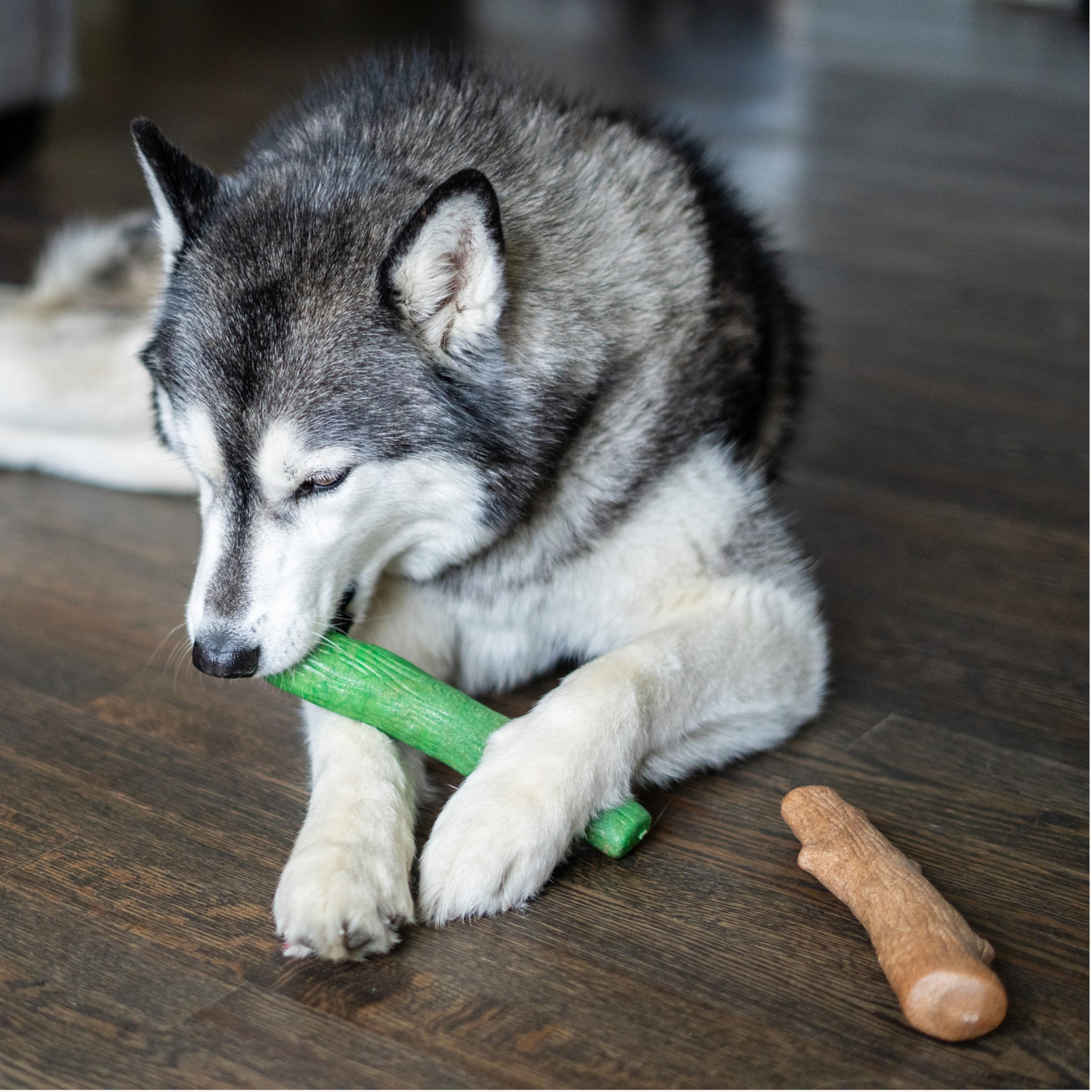 Pupstages Dogwood Breath Dog Chew Toy – 2-Pack of Real-Wood Blend Chews for Moderate Chewers, Large (8 Inch)