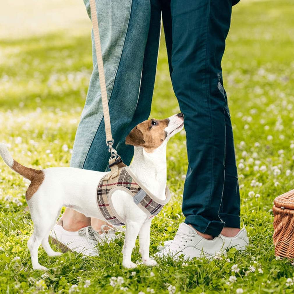 PUPTECK Adjustable Dog Harness, Collar and Leash Set - Step-in No-Pull Vest for Small Dogs and Cats, Reflective Plaid, Size XS (Beige)