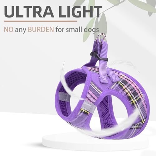PUPTECK Adjustable Dog Harness, Collar & Leash Set – Step-In No-Pull Vest, Reflective, Purple (Size S)
