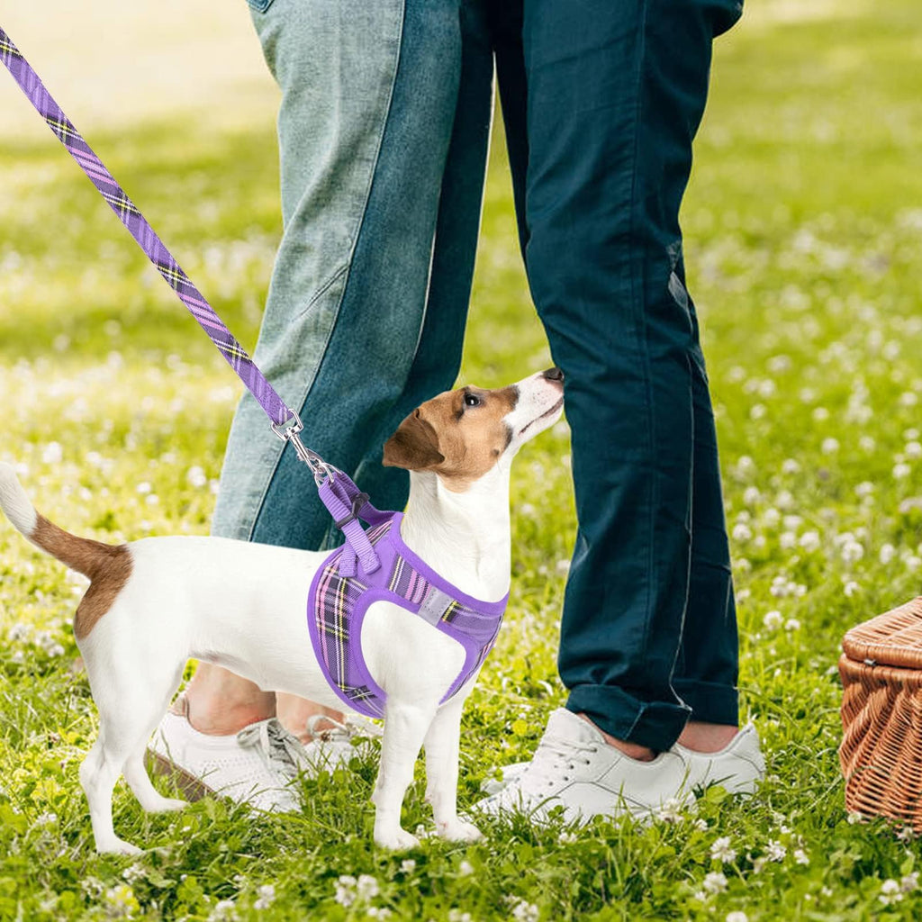 PUPTECK Adjustable Dog Harness, Collar & Leash Set – Step-In No-Pull Vest, Reflective, Purple (Size S)