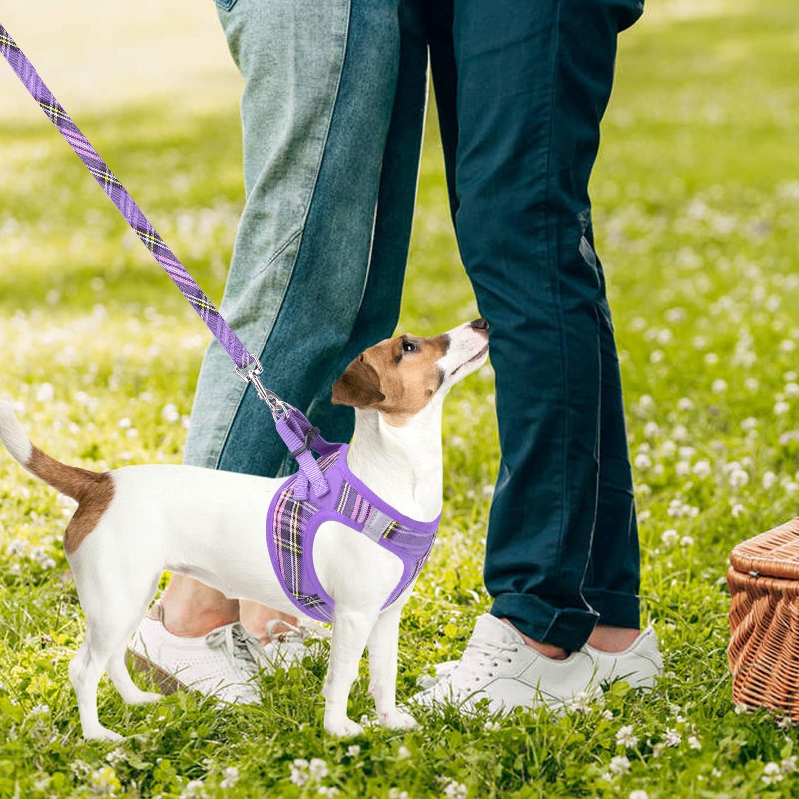 PUPTECK Adjustable Dog Harness, Collar & Leash Set – Step-In No-Pull Vest, Reflective, Purple (Size S)