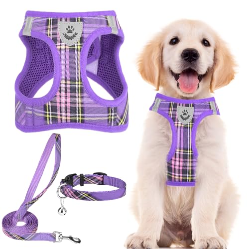 PUPTECK Adjustable Dog Harness, Collar & Leash Set – Step-In No-Pull Vest, Reflective, Purple (Size S)