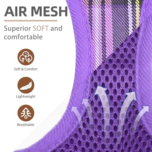 PUPTECK Adjustable Dog Harness, Collar & Leash Set – Step-In No-Pull Vest, Reflective, Purple (Size S)