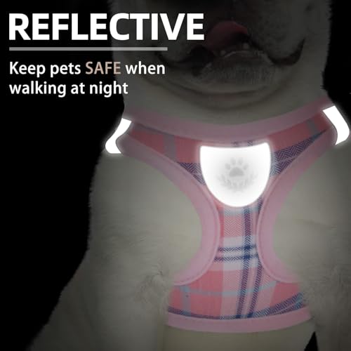 PUPTECK Adjustable Dog Harness Set with Leash and Collar, Step-in No-Pull Vest for Small to Medium Dogs, Pink Plaid, Size S