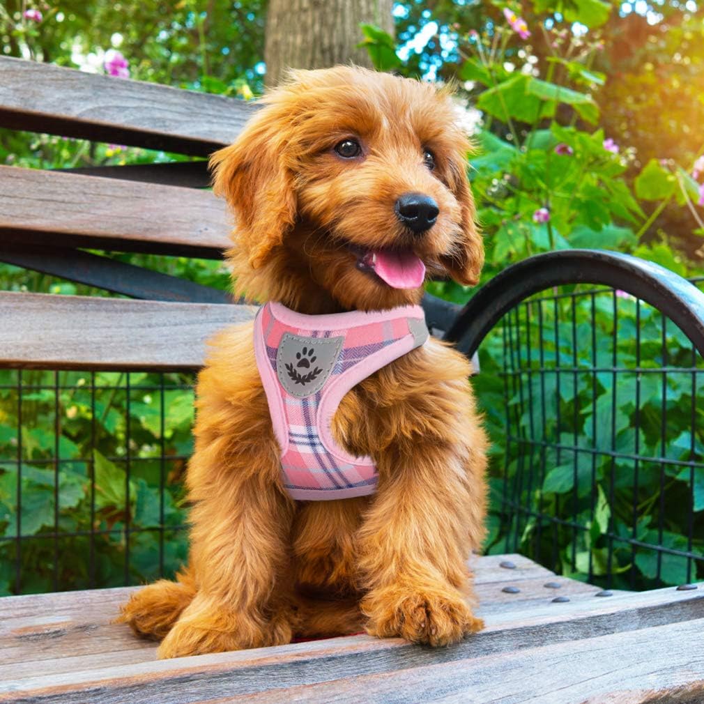 PUPTECK Adjustable Dog Harness Set with Leash and Collar, Step-in No-Pull Vest for Small to Medium Dogs, Pink Plaid, Size S