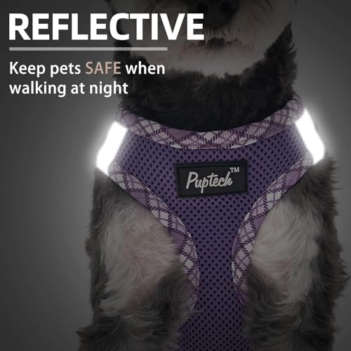 PUPTECK Dog Harness and Leash Set for Small Dogs - No Pull Step-in Vest Harness with Reflective Strip, Purple XS (3-9 lbs)