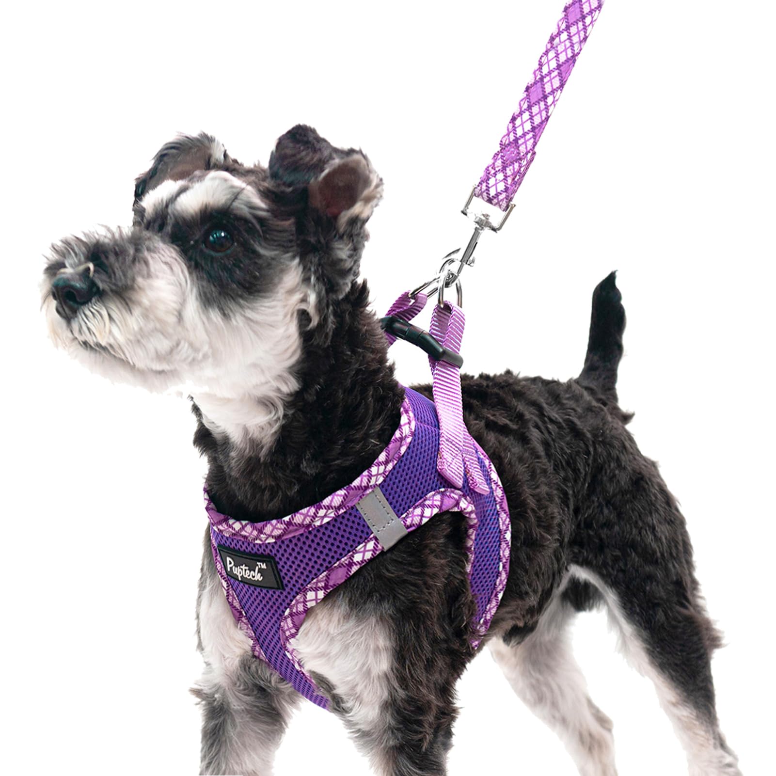 PUPTECK Dog Harness and Leash Set for Small Dogs - No Pull Step-in Vest Harness with Reflective Strip, Purple XS (3-9 lbs)