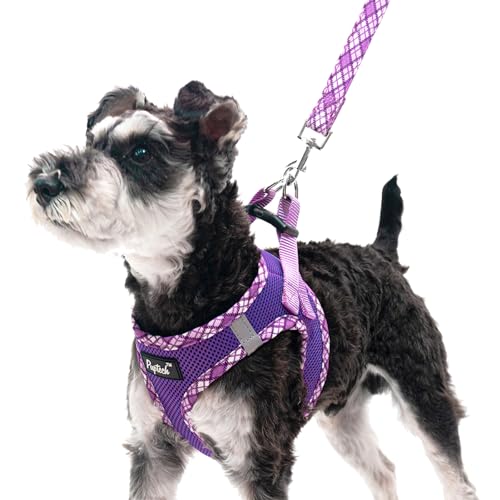 PUPTECK Dog Harness and Leash Set for Small Dogs - No Pull Step-in Vest Harness with Reflective Strip, Purple XS (3-9 lbs)