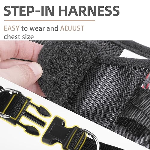 PUPTECK Dog Harness and Leash Set for Small Dogs - No Pull Step-in Vest with Reflective Strips, Black Plaid, Size S