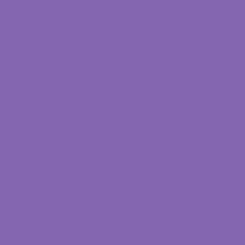 vimg::24