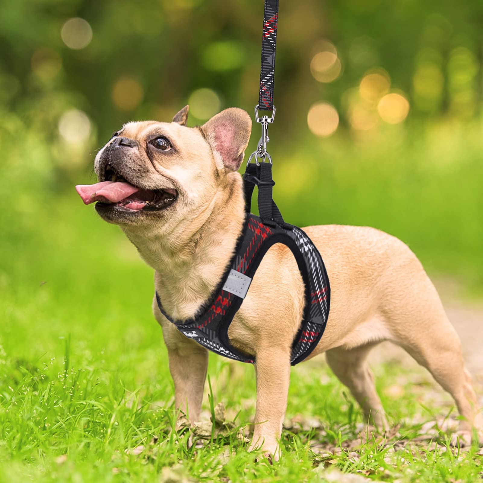 PUPTECK Dog Harness and Leash Set for Small Dogs - No Pull Step-in Vest with Reflective Strips, Black Plaid, Size S