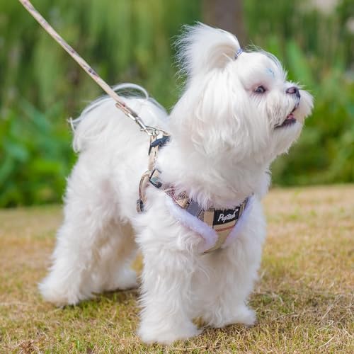 PUPTECK Dog Harness and Leash Set Size M, Step-in No Pull Reflective Vest for Small Dogs, Beige Plaid