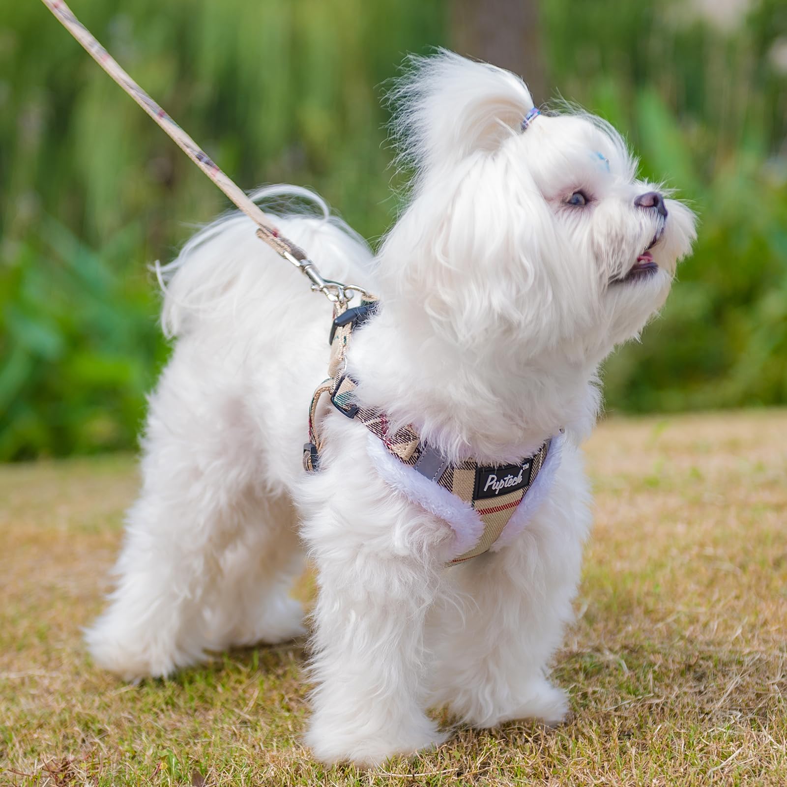 PUPTECK Dog Harness and Leash Set Size M, Step-in No Pull Reflective Vest for Small Dogs, Beige Plaid