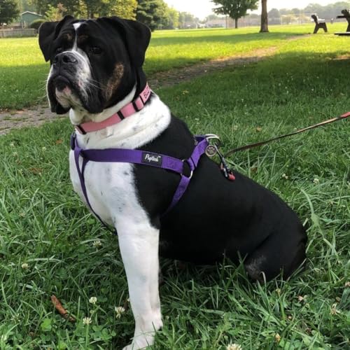 PUPTECK No Pull Dog Harness - Soft Adjustable Nylon Step-In Vest with ID Tag, Large, Purple