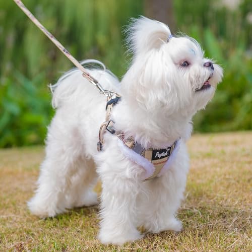 PUPTECK Step In Dog Harness and Leash Set for Small Dogs, XS (9-13 lbs) - Reflective No Pull Vest with Plush Lining
