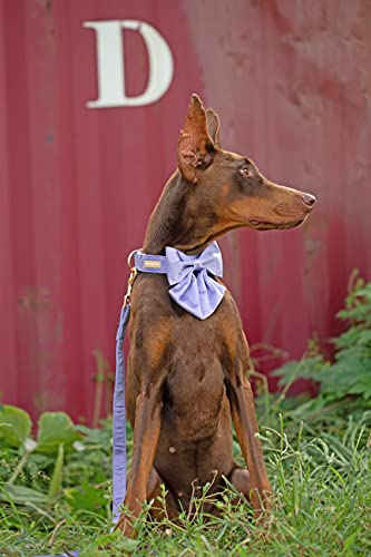 Purple Silk Dog Collar with Removable Bow Tie – Adjustable for Small Dogs and Cats