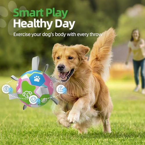 QDAN 6 Inch Dog Toy with Straps - Durable PU Leather Ball for Interactive Play & Training, Herding Ball for Small to Large Dogs