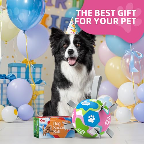 QDAN 6 Inch Dog Toy with Straps - Durable PU Leather Ball for Interactive Play & Training, Herding Ball for Small to Large Dogs
