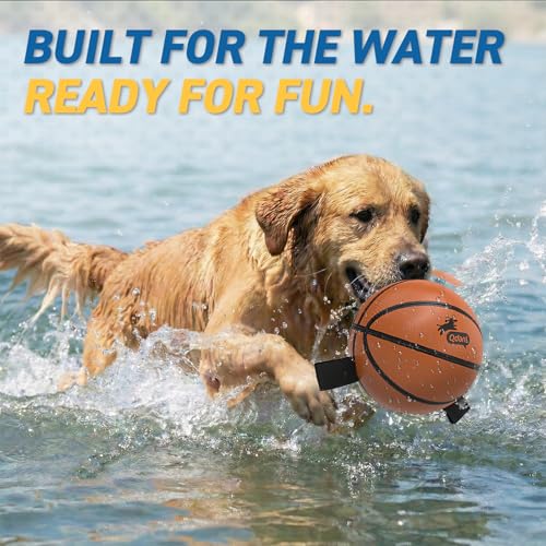 QDAN Dog Basketball Toy with Straps – 6-Inch Interactive Fetch Ball for Small to Medium Dogs, Waterproof Pool Toy with Pump