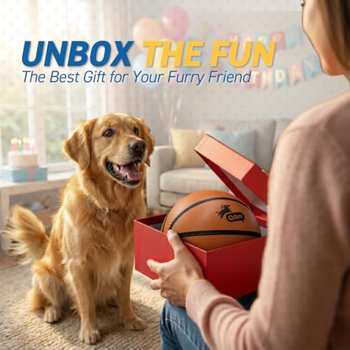 QDAN Dog Basketball Toy with Straps – 6-Inch Interactive Fetch Ball for Small to Medium Dogs, Waterproof Pool Toy with Pump
