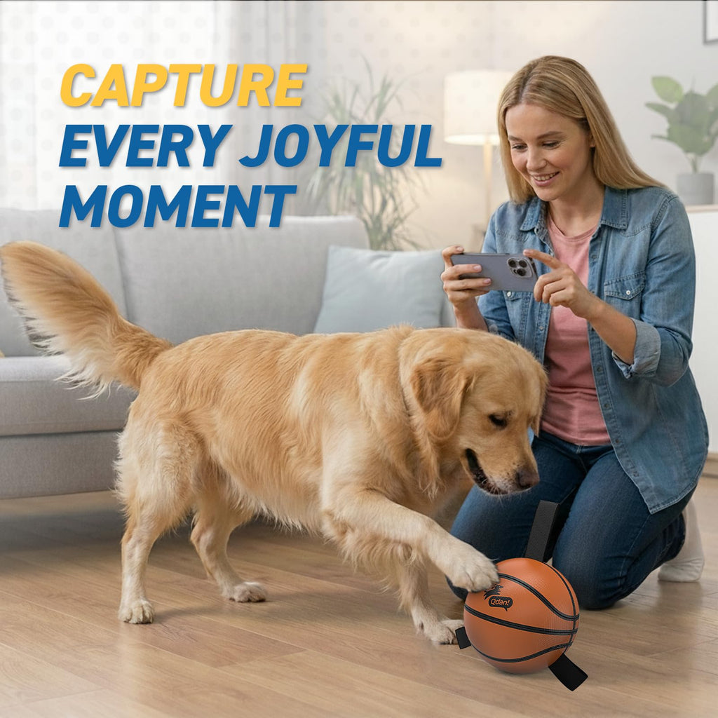 QDAN Dog Basketball Toy with Straps – 6-Inch Interactive Fetch Ball for Small to Medium Dogs, Waterproof Pool Toy with Pump