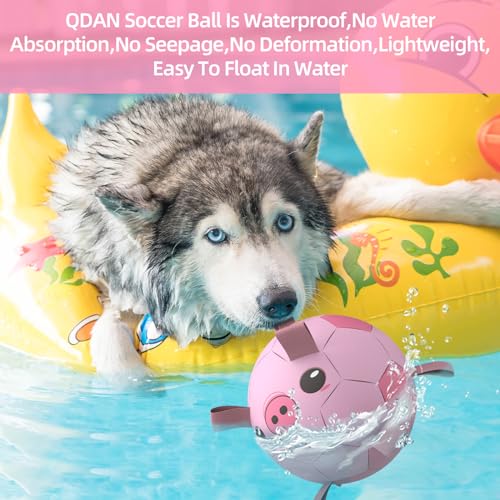 QDAN Dog Toys Soccer Ball with Straps – 8-Inch Interactive Fetch and Tug Toy for Medium and Large Dogs, Pink Pig