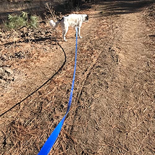 Qiaosite 15ft Waterproof Dog Leash – Durable Long Training Lead for Recall, Hiking & Swimming (Blue)