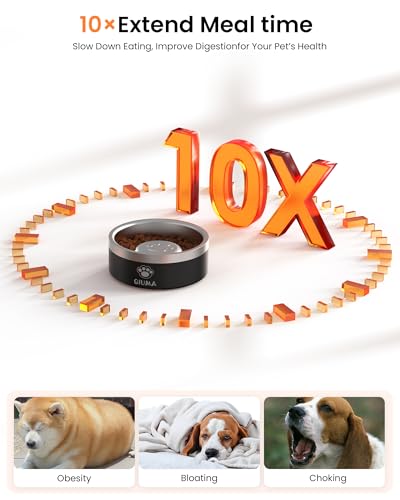Qiuma Stainless Steel Slow Feeder Dog Bowl – 2 Cups, Food-Grade 304, Non-Slip Base for Small & Medium Dogs (Black)