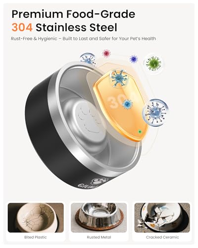 Qiuma Stainless Steel Slow Feeder Dog Bowl – 2 Cups, Food-Grade 304, Non-Slip Base for Small & Medium Dogs (Black)