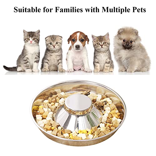 QIYADIN Stainless Steel Pet Bowl – Large Size for Multiple Dogs & Cats, Slow Feeder with Conical Pillar