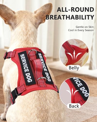 QUDLIMO Lightweight Service Dog Vest for Small Breeds – Red XS with ID Tag, Patches & Leash
