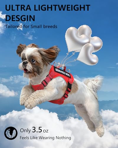 QUDLIMO Lightweight Service Dog Vest for Small Breeds – Red XS with ID Tag, Patches & Leash