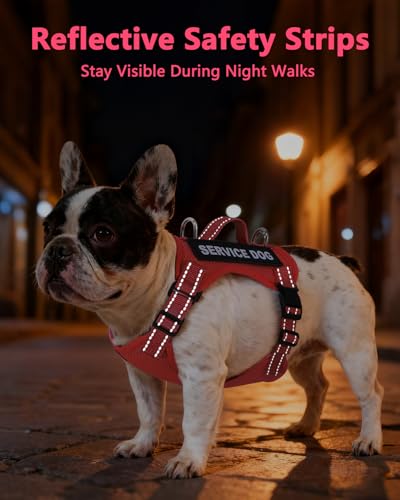 QUDLIMO Lightweight Service Dog Vest for Small Breeds – Red XS with ID Tag, Patches & Leash
