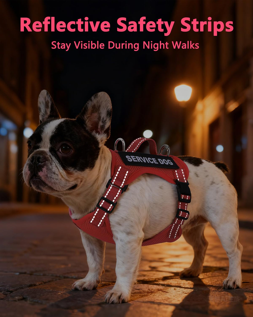QUDLIMO Lightweight Service Dog Vest for Small Breeds – Red XS with ID Tag, Patches & Leash