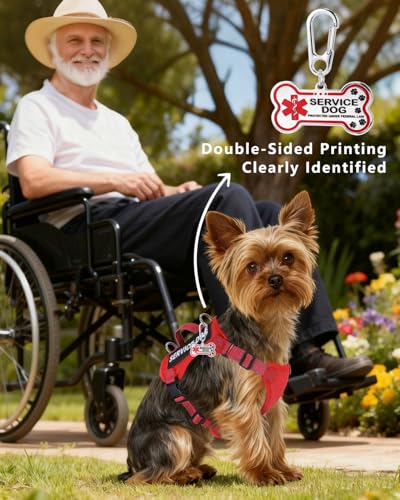 QUDLIMO Service Dog Vest for Small Breeds – Red, Size M with Patches and Leash Set