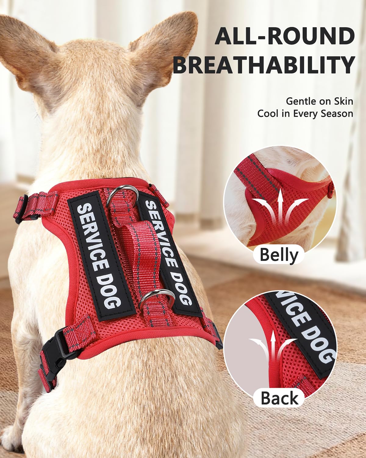 QUDLIMO Service Dog Vest for Small Breeds – Red, Size M with Patches and Leash Set