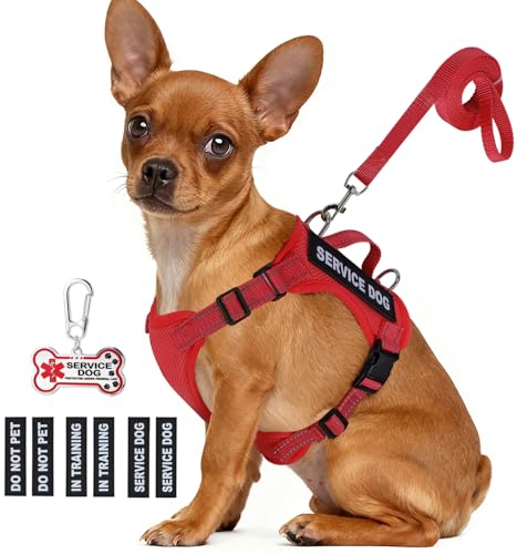 QUDLIMO Service Dog Vest for Small Breeds – Red, Size M with Patches and Leash Set