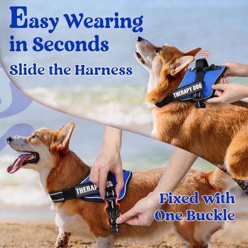 rabbitgoo Medium Dog Harness - No Pull, Reflective, Adjustable Vest with Molle, Blue