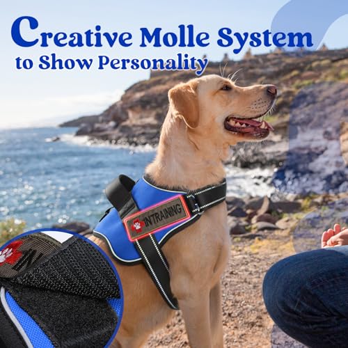 rabbitgoo Medium Dog Harness - No Pull, Reflective, Adjustable Vest with Molle, Blue