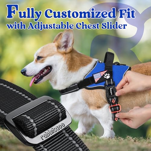 rabbitgoo Medium Dog Harness - No Pull, Reflective, Adjustable Vest with Molle, Blue