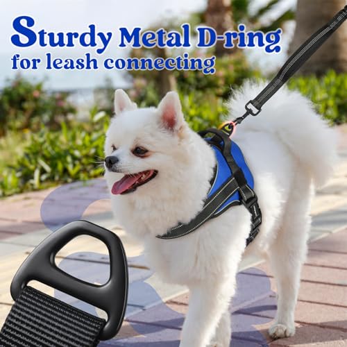 rabbitgoo Medium Dog Harness - No Pull, Reflective, Adjustable Vest with Molle, Blue