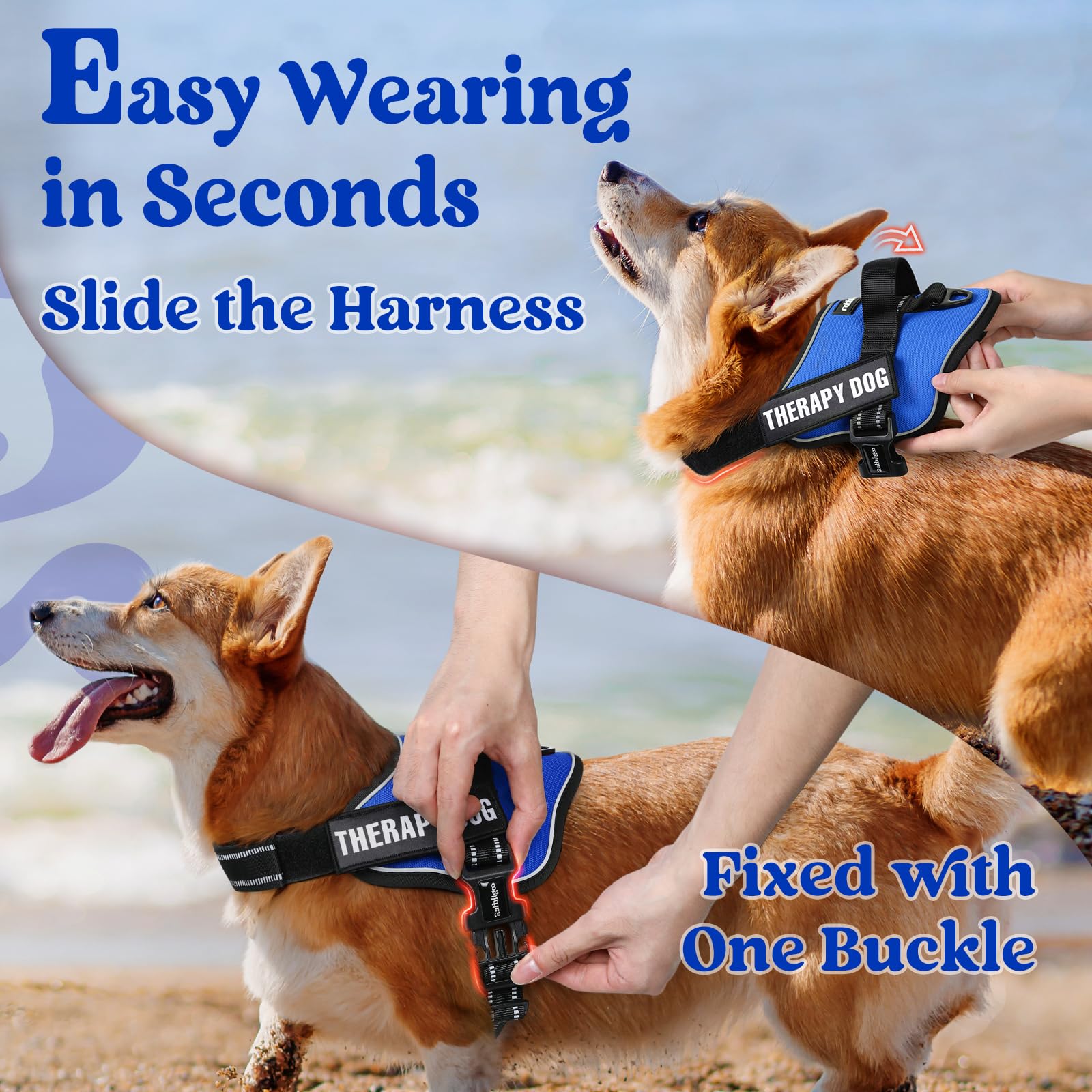 rabbitgoo Medium Dog Harness - No Pull, Reflective, Adjustable Vest with Molle, Blue