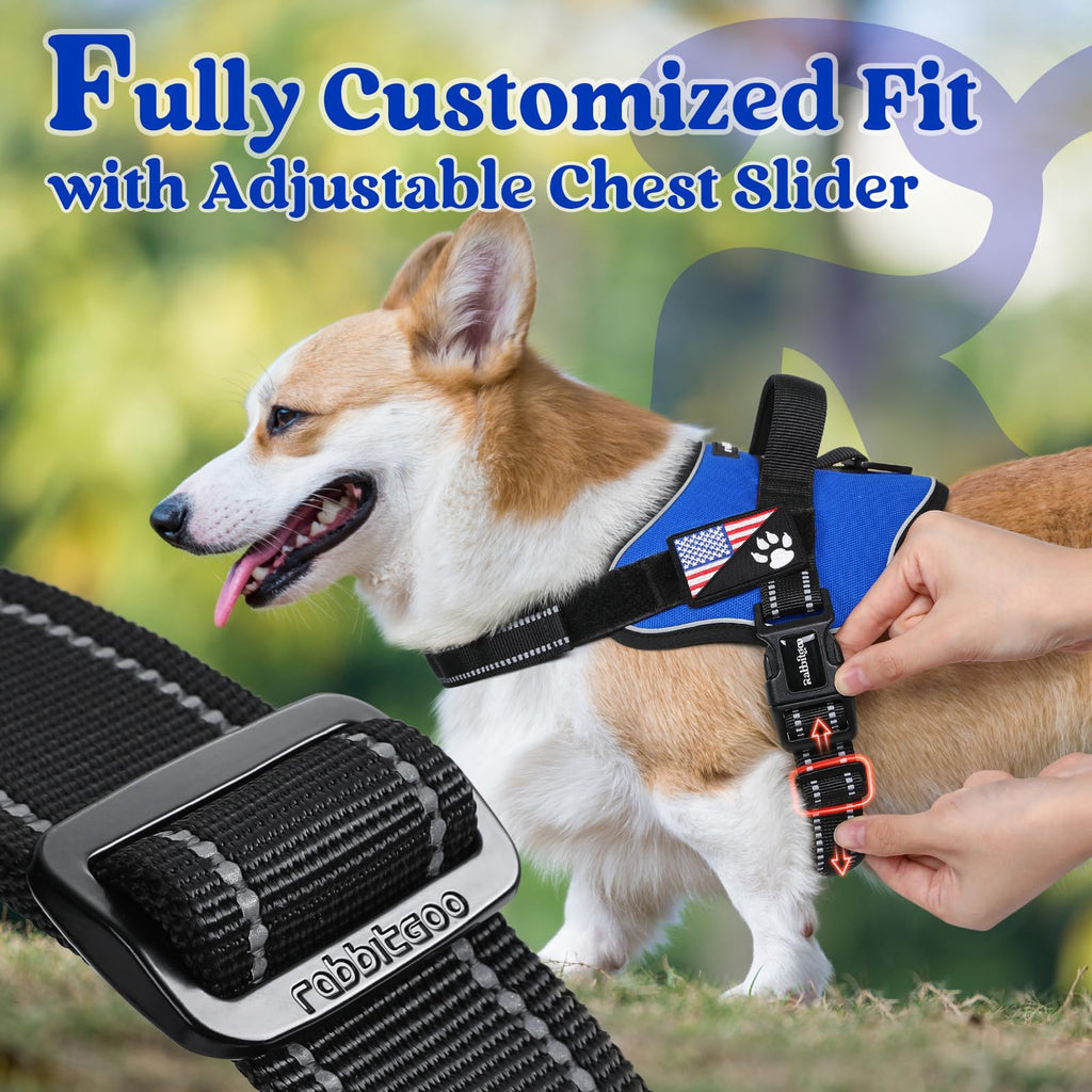 rabbitgoo Medium Dog Harness - No Pull, Reflective, Adjustable Vest with Molle, Blue