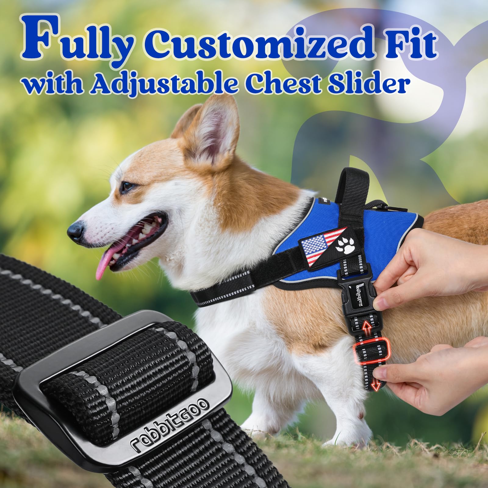 rabbitgoo Medium Dog Harness - No Pull, Reflective, Adjustable Vest with Molle, Blue