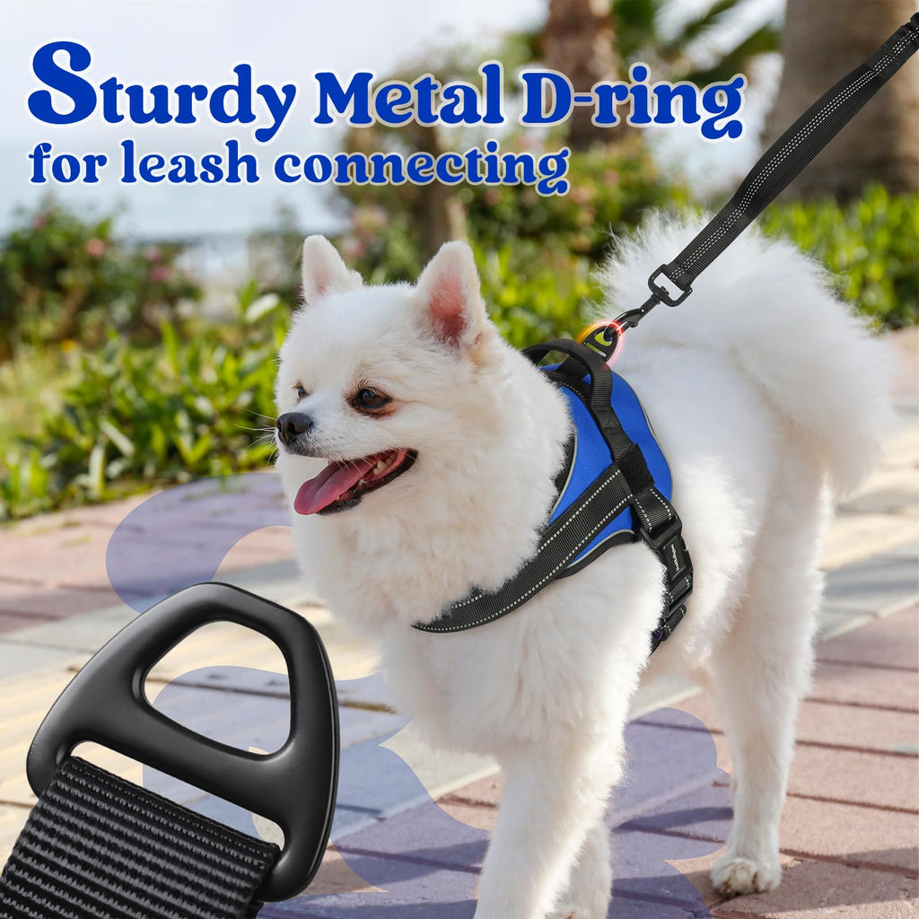 rabbitgoo Medium Dog Harness - No Pull, Reflective, Adjustable Vest with Molle, Blue