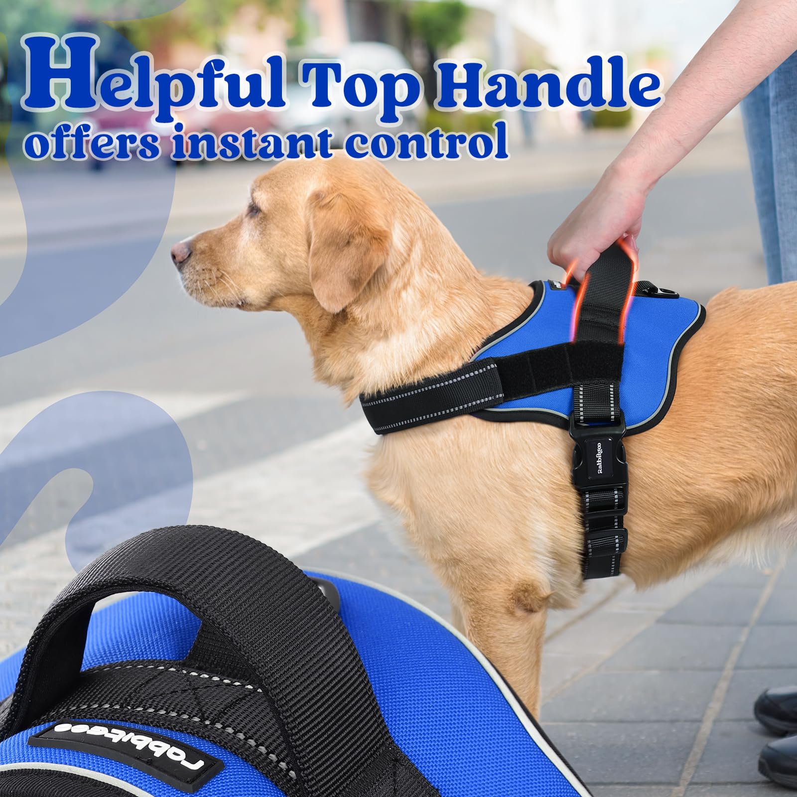 rabbitgoo Medium Dog Harness - No Pull, Reflective, Adjustable Vest with Molle, Blue
