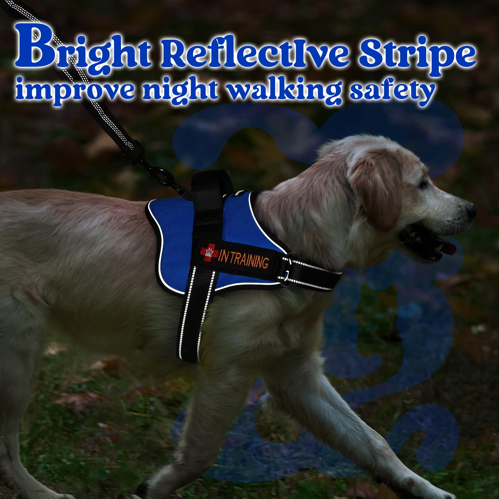 rabbitgoo Medium Dog Harness - No Pull, Reflective, Adjustable Vest with Molle, Blue