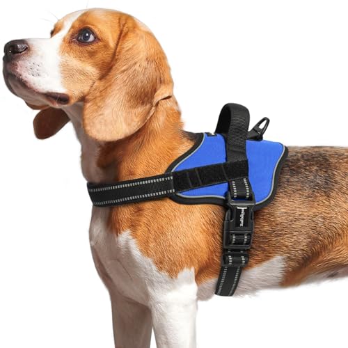 rabbitgoo Medium Dog Harness - No Pull, Reflective, Adjustable Vest with Molle, Blue