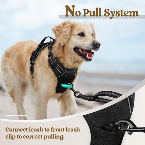rabbitgoo Medium Dog Harness No Pull - Black, Adjustable Padded Reflective Vest with Handle